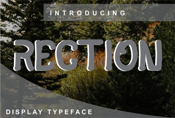 Introducing Rection: A Versatile Font for Creative Branding